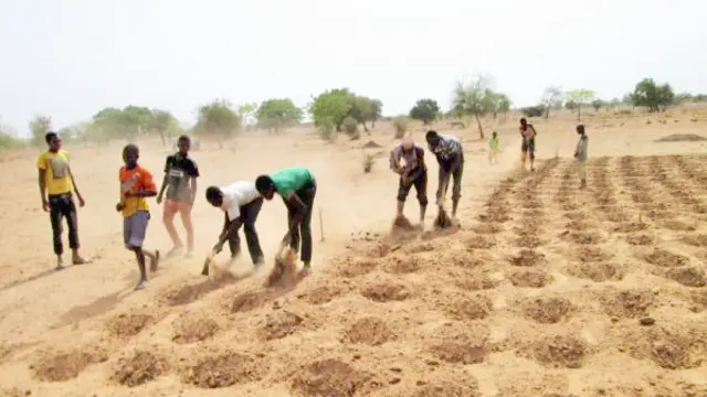 Workers digging zaï pits that help to preserve water on farms (Photo: IUCN)