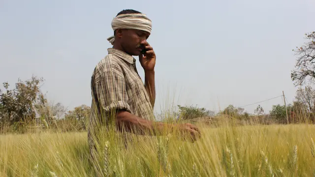 This farmer in India's Maharashtra state gets weather alerts, advisories about pests and market information via his mobile phone (Photo: Borlaug Institute for South Asia, Creative Commons via Flickr)