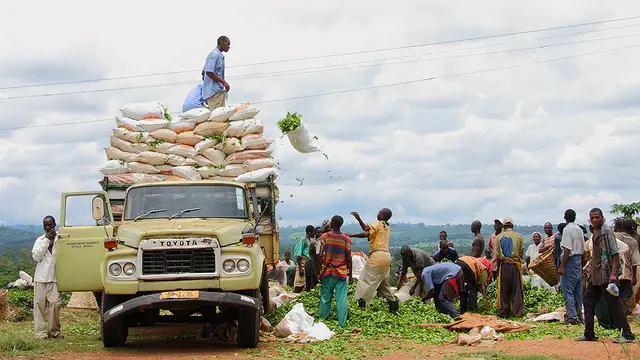 Farmers loading tea leaves in Malawi (Photo credit: nchenga nchenga, Creative Commons via Flickr)