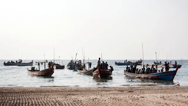 Fishing boats