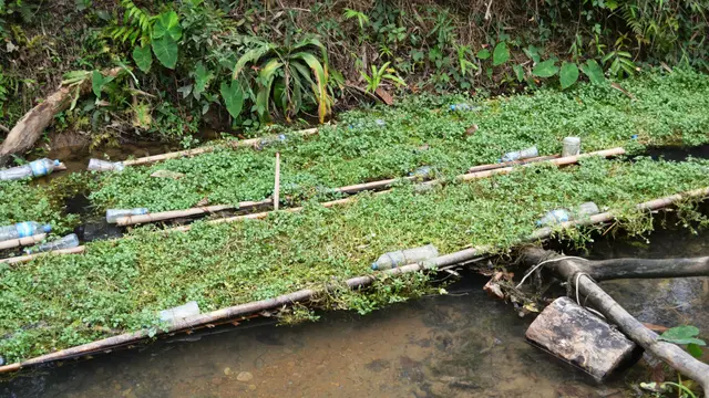 Crops float on water