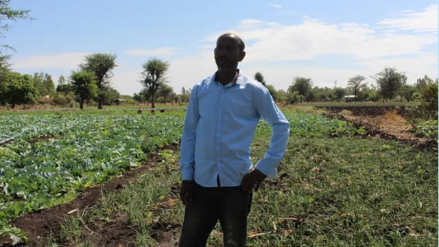 Farmer standing in a field of crops.