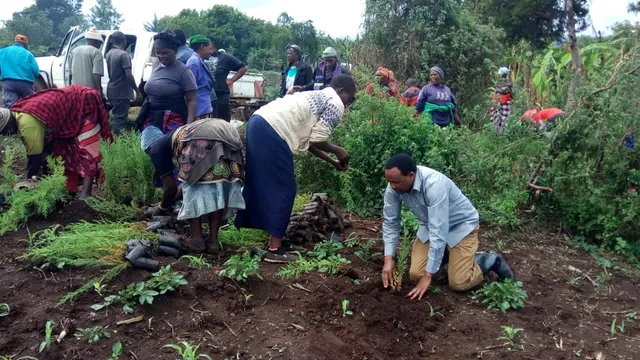 People planting trees