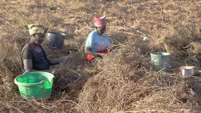 Two women sitting in a field