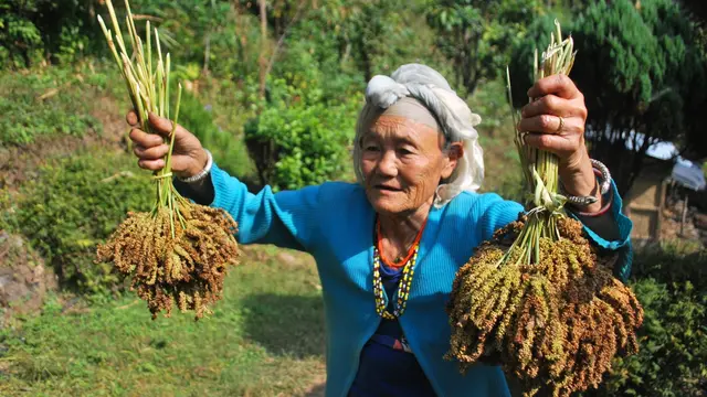 An elderly woman in a field holds crops in the air with both hands