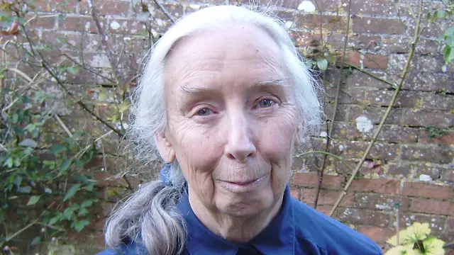 Mary Tiffen headshot