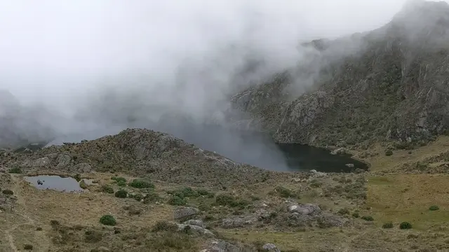 Páramo landscape