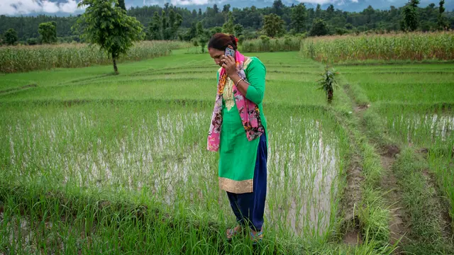 A woman farmer holds a phone to her ear in a green field.