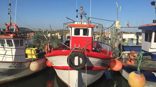 Boats tied to the port.