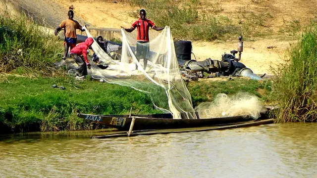 Fishermen dragging a net out of a river.