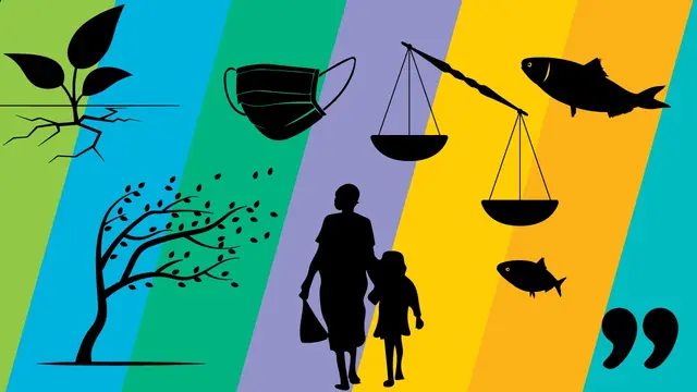 Colourful illustrations from the 2020 annual review 