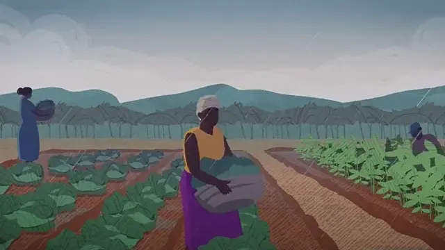 Animation of a woman picking vegetables 