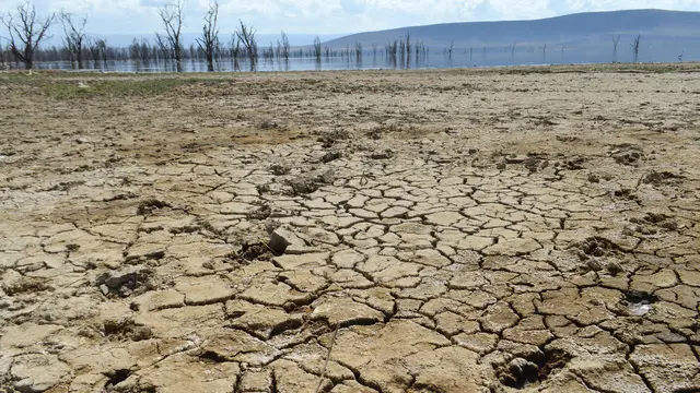 Landscape of cracked earth