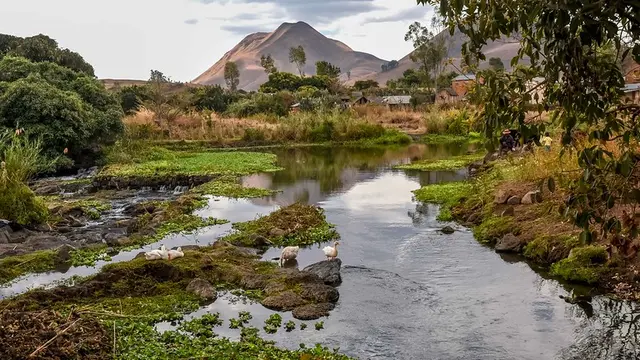 Nature landscape of a spring with ducks, and mountains in the background