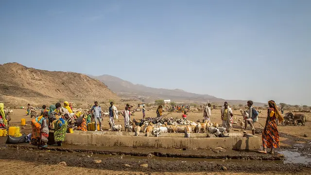 Groups of people and cattle taking and drinking water from a well
