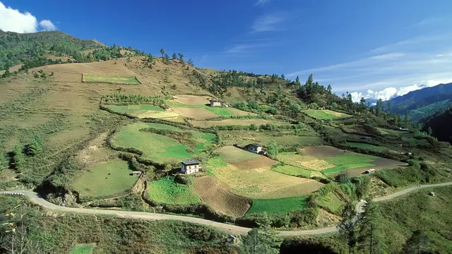Landscape of terrace fields and homes.