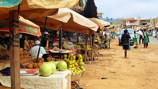 Stalls of fruits and vegetables.