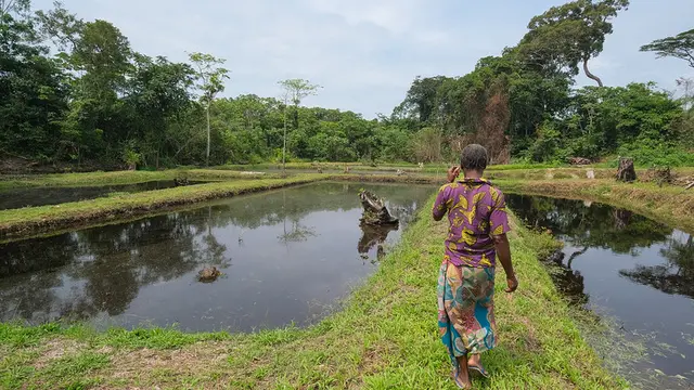 A person walks between two ponds.