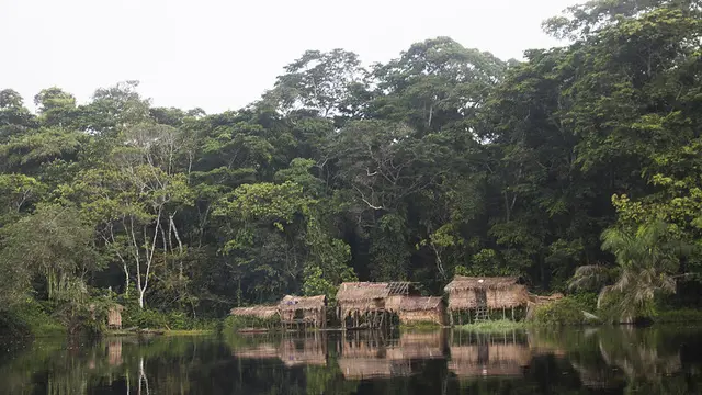 Houses on stilts at the side of water, with trees behind