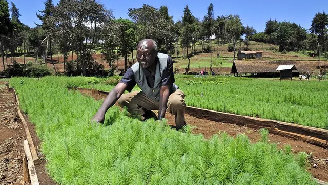 Man crouching next to a crop bed.