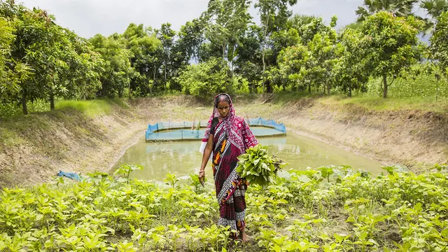 Woman walking through a vegetable garden. A pond behind her. 