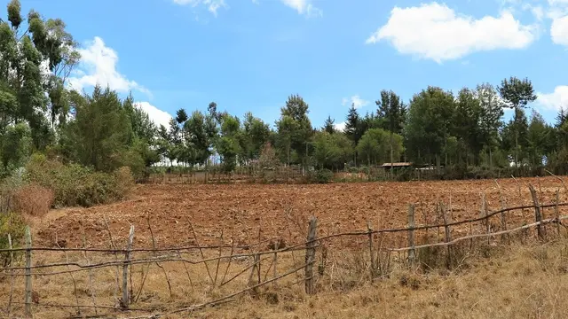 A wooden fence leads on to a field behind which are trees