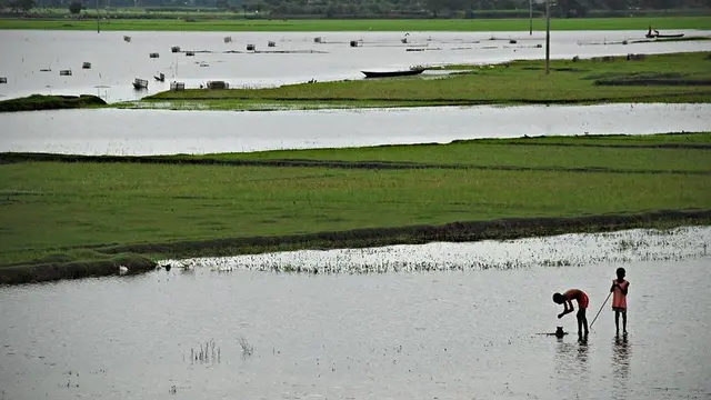 Two children in a flooded field.