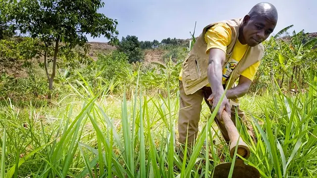 Man in a field holds a shovel pointing to the ground