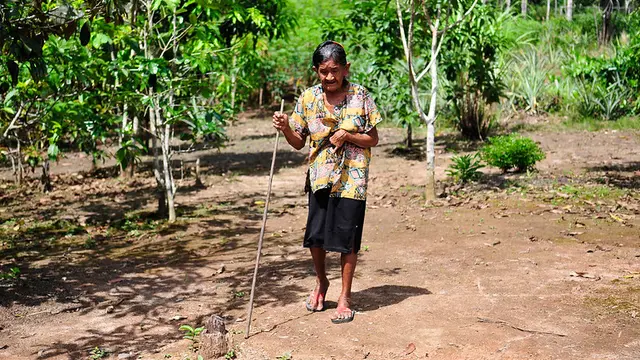 Old woman walks in the forest holding a stick.