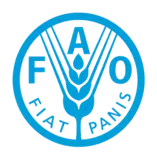 FAO logo