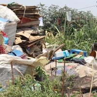 Piles of garbage.