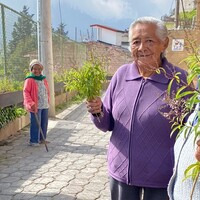People standing on the street, holding plants.