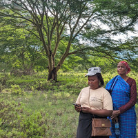A group of women near some trees.