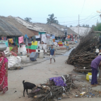 Image from fishing community slum of Sai Bab Sahi showing a street in the village, with people walking on the main street carrying goods, people sitting down in front of their houses and animals roaming around.