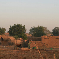 A cluster of mud-brick houses and shady courtyards, with fields in the background.