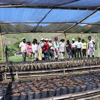 ASOM women members planting trees in a covered area, posing for a photo.