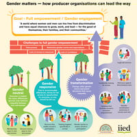 Infographic titled 'Gender matters – how producer organisations can lead the way'. It shows three approaches to gender: gender neutral, gender responsive and gender transformative.Examples include women’s training, quotas, legal aid, leadership support, advocacy, and economic empowerment. Challenges include time poverty, restrictive norms, lack of resources, and lack of confidence.