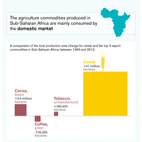 Illustration showing how domestic food drives deforestation in Sub-Saharan Africa including visualution of cocoa, coffee, tabacco and cereal.