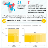 Infographic showing how many countries in Sub-Saharan Africa have increased agricultural production moth through the expansion of land than through gains in yield.