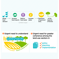 Infographic showing how urgent action is needed for greater coherence among the land-use sectors in policy, planning and implementation.