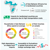 Infographics highlighting key findings from research that reveals that there is limited scope for meeting tripling domestic food demand in Sub-Saharan Africa by increasing food imports, reducing food waste and increasing crop yields.