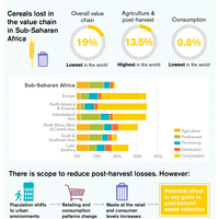 Infographic highlighting key findings from research that reveals that there is limited scope for meeting tripling domestic food demand in Sub-Saharan Africa by increasing food imports, reducing food waste and increasing crop yields.