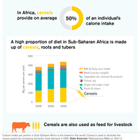 Illustration showing how on average, in Africa, cereals provide 50% of an individual's calorie intake.