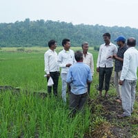 A group of men stand in wet fields with a forest-covered mountain behind them.
