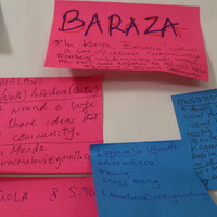 We collected many different descriptions (Photo: Teresa Corcoran/IIED)