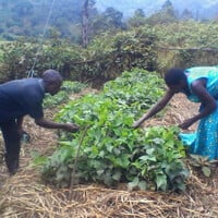 A man and a woman inspect their plants