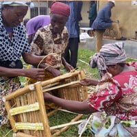 women building a beehive