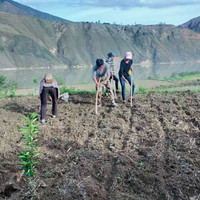 People hoeing and planting in a field