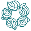 COP29 logo