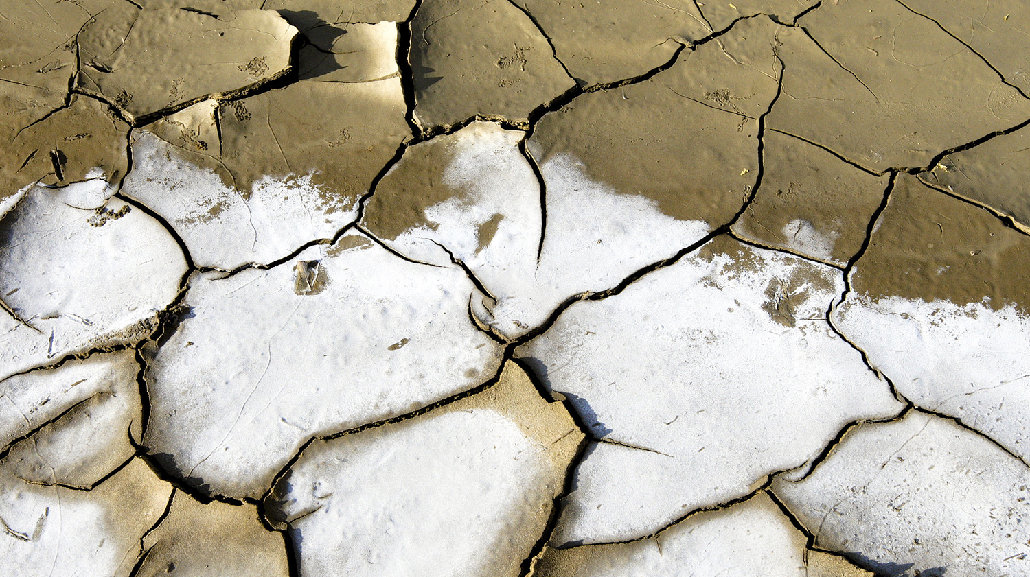 Call for evidence: effective learning for climate adaptation and resilience - Vimarsana News